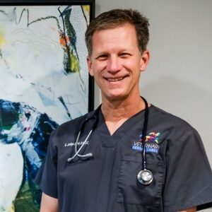 Dr. Stephen Juriga, Doctor in Veterinary Medicine Degree